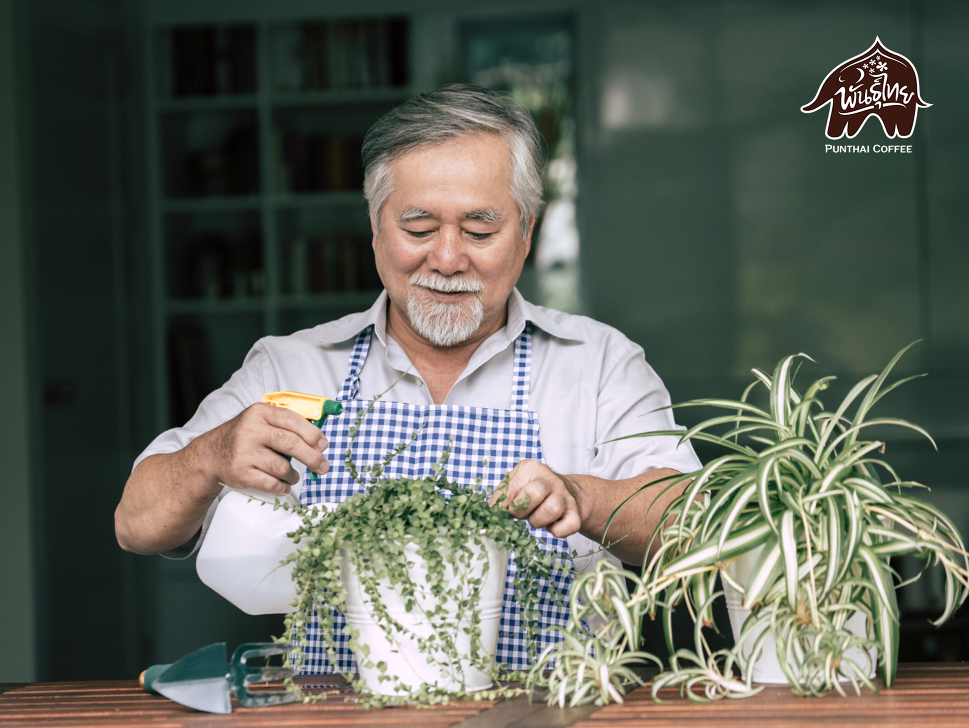 gardener asian eldery