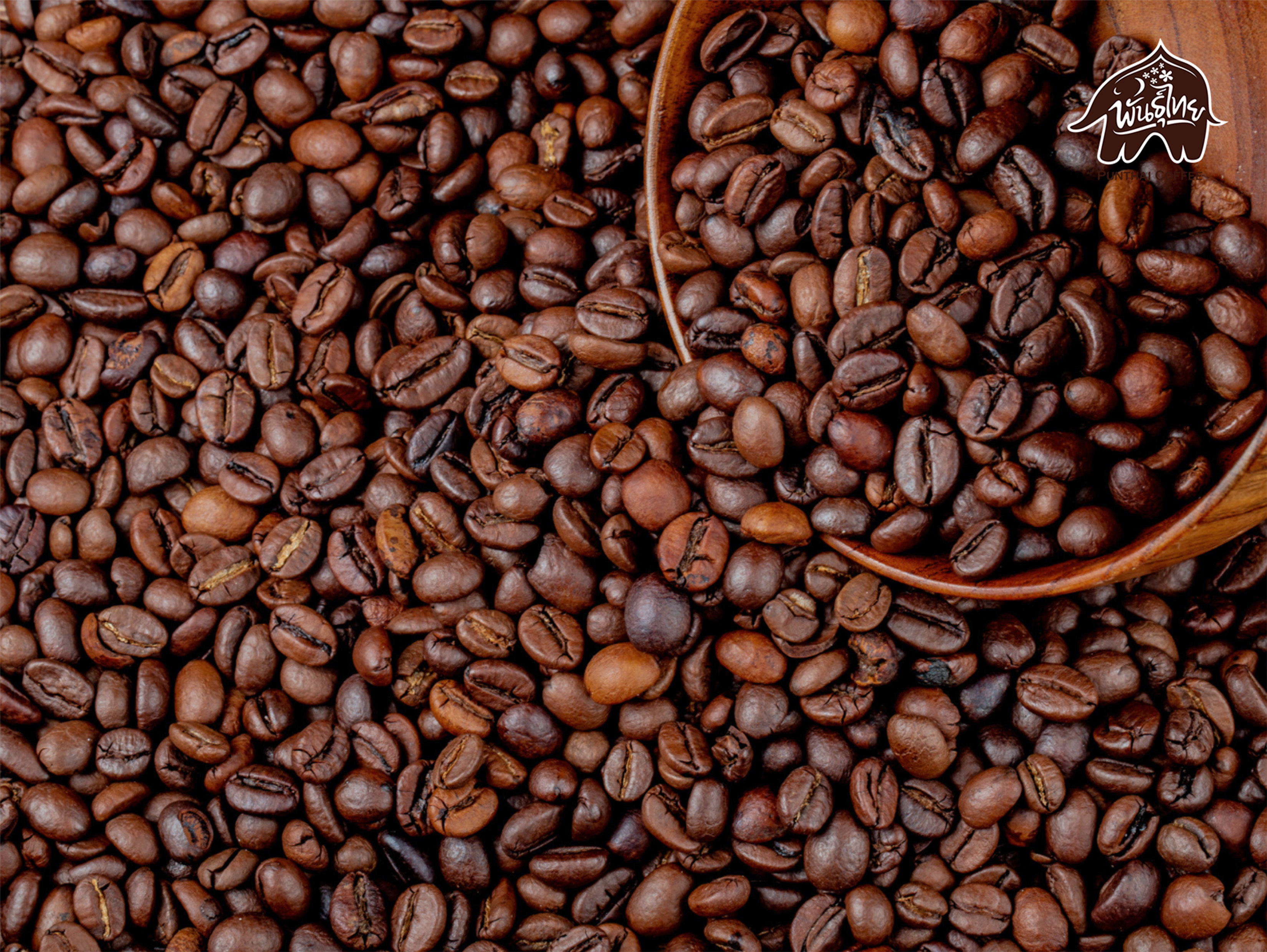 coffee beans